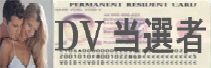 DVI҃Ly[